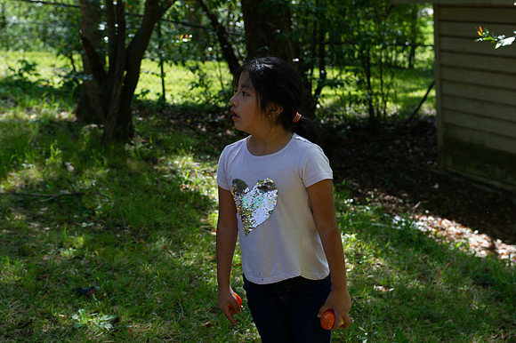 DSC_2370.jpg