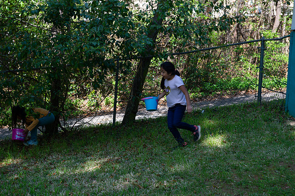 DSC_2350.jpg