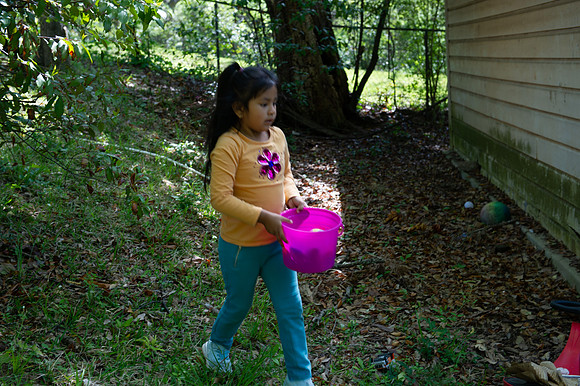 DSC_2355.jpg