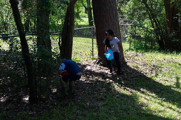 DSC_2347.jpg