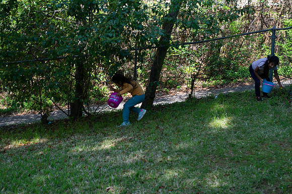 DSC_2349.jpg
