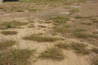2012 10October