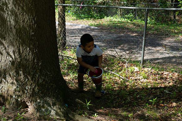 DSC_2352.jpg
